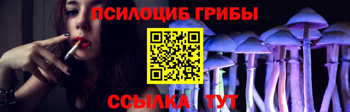 Краснокаменск  Галлюциногенные грибы Psilocybine cubensis  купить   Вход с VPN 